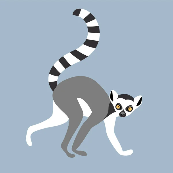 Lemur. Ilustración animal plana vectorial — Archivo Imágenes Vectoriales