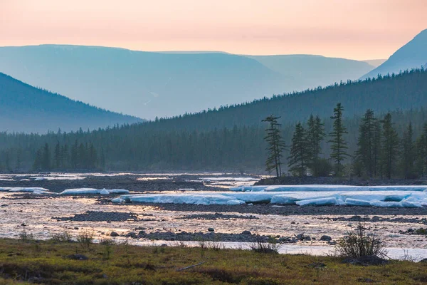 Bosque Orillas Del Río Hoisey Día Polar Meseta Putorana Taimyr — Foto de Stock