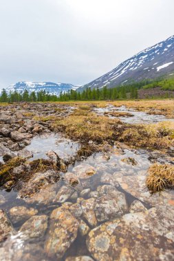 Erimiş su. Putorana Platosu 'nda kutup günü, Taimyr, Rusya
