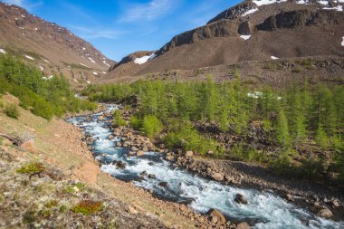 Hoisey Nehri. Putorana Platosu 'nda kutup günü, Taimyr. Krasnoyarsk Bölgesi, Rusya
