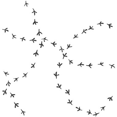 Bir kuşun kusursuz ayak izleri.