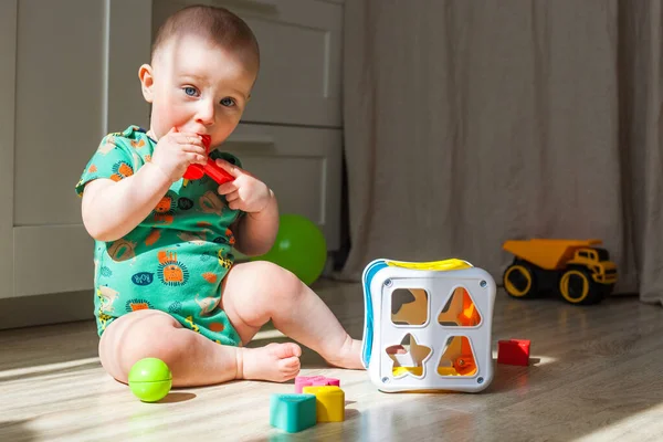 Acht Negen Maanden Baby Boy Speelt Sorteerder Vloer — Stockfoto