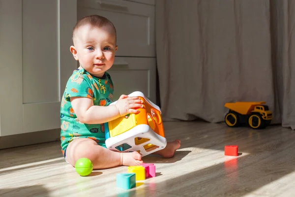Acht Negen Maanden Baby Jongen Portret Speelt Met Sorteerder Vloer — Stockfoto