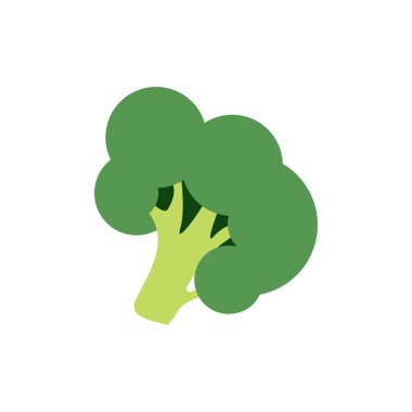 Beyaz arkaplanda yeşil brokoli