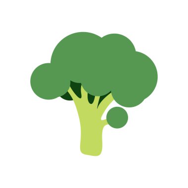 Beyaz arkaplanda yeşil brokoli