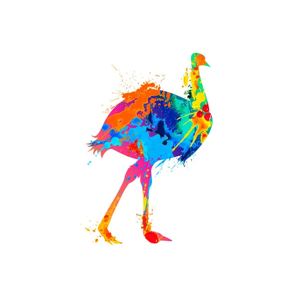 Emu struzzo uccello simbolo di spruzzi di vernice — Vettoriale Stock