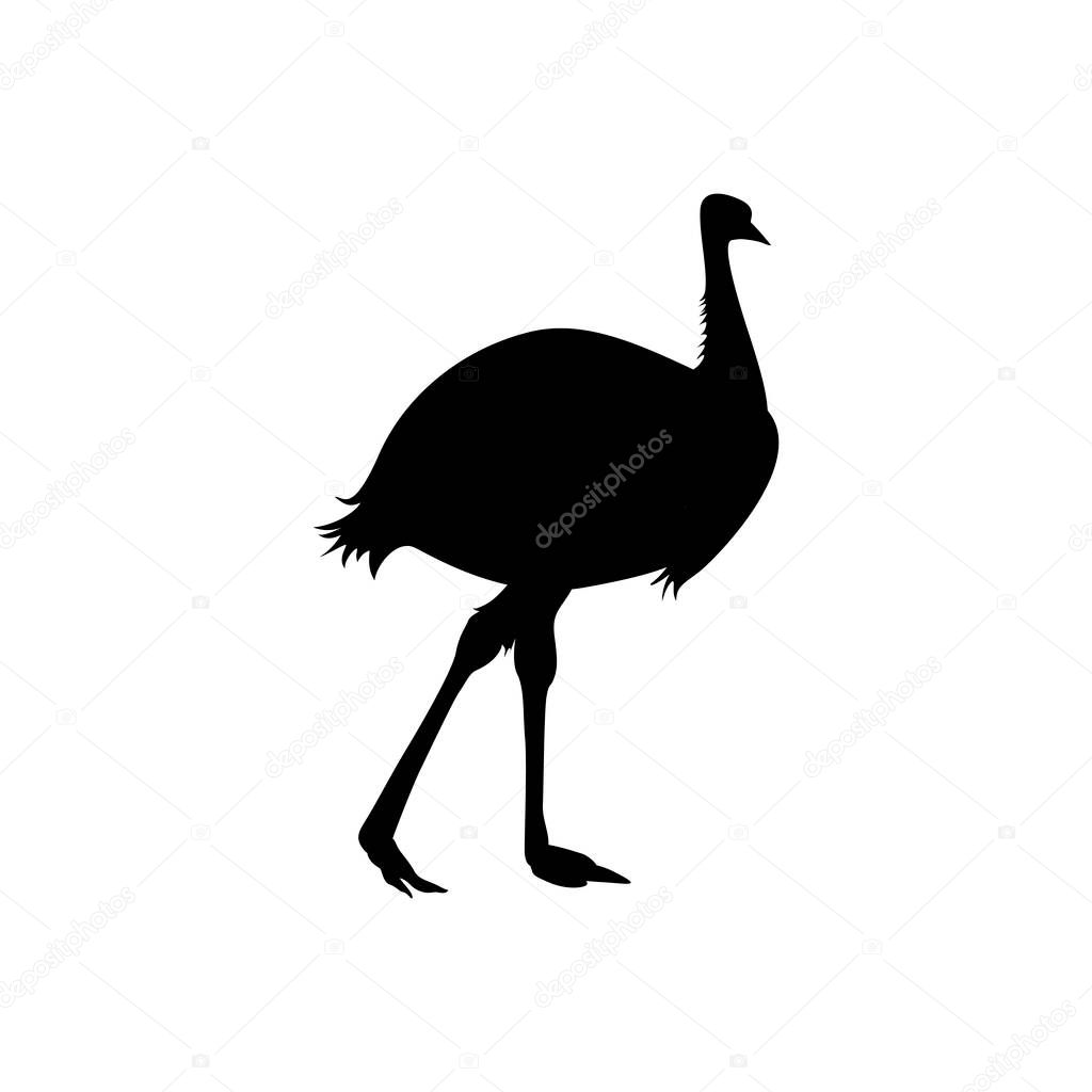 Emu ostrich bird silhouette black on white