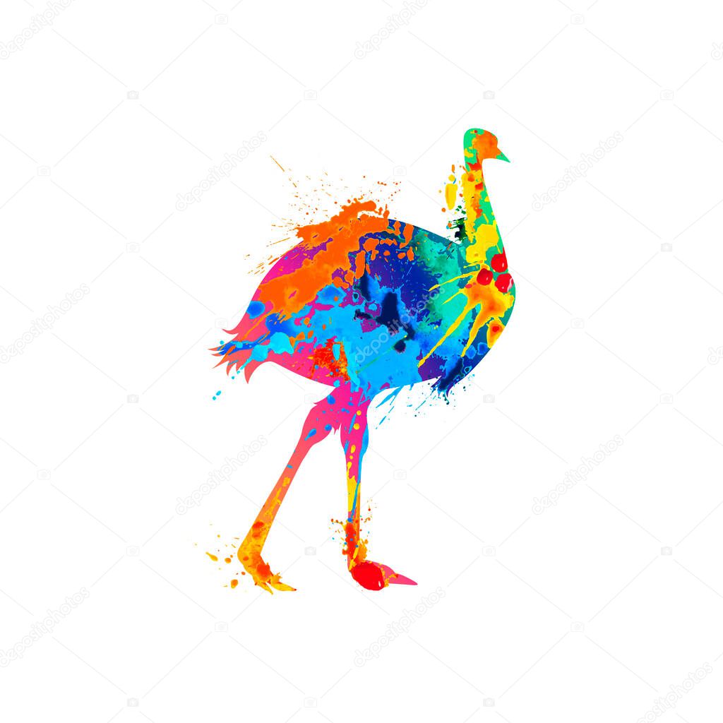 Emu ostrich bird symbol of splash paint
