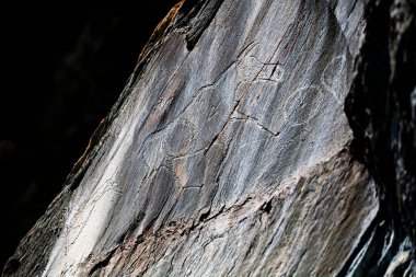 Petroglyph Tomsk pisanitsa. Tom River, Kemerovo bölgesinden kaya resimleri, Rusya