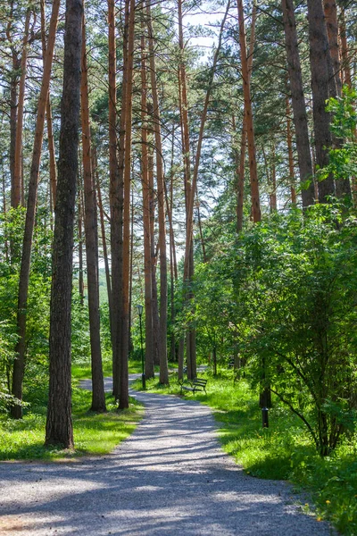 A path in the park in the Tomskaya Pisanitsa Museum-Reserve. Kemerovo region, Russia