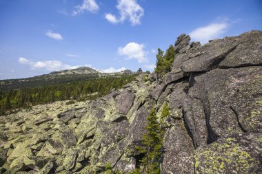 Zelenaya Dağı 'ndaki aykırı yerlerden Kurgan Dağı' nın manzarası. Sheregesh, Rusya