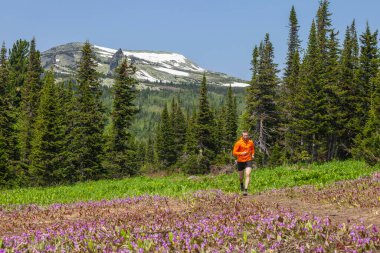 Genç adam dağlarda koşu antrenmanı yapıyor. Sheregesh, Rusya