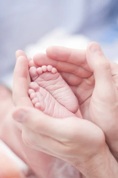 Los pies del bebé en las manos de la madre —  Fotos de Stock