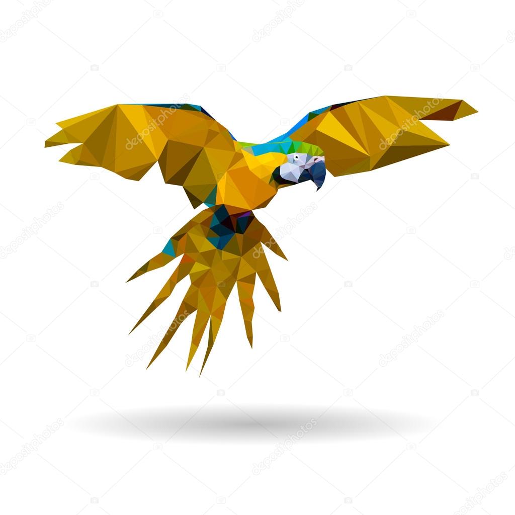 Macaw