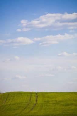 Tarım peyzaj - yeşil alan vuruyor ve bulutlar mavi gökyüzü ile