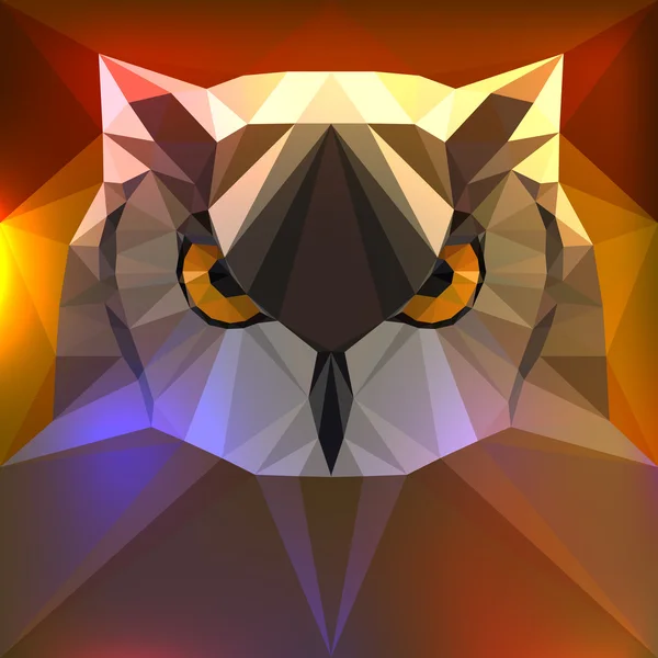 Vector illustration - face of a owl — Stock Vector
