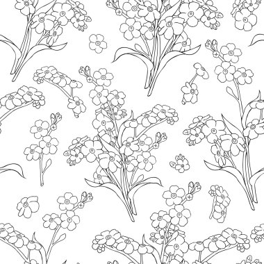 çiçekler unutma. beyaz üzerine siyah çizgiler