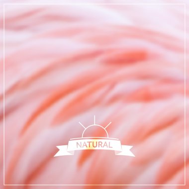 Vector blurred natural background - pink flamingo plumage