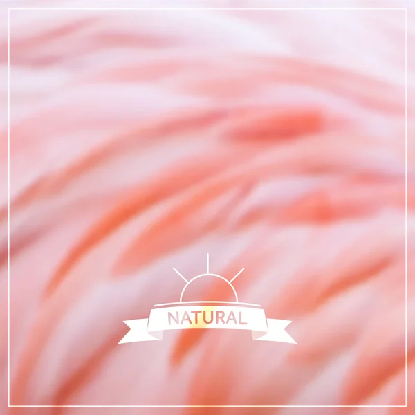 Vettore sfocato sfondo naturale - piumaggio fenicottero rosa — Vettoriale Stock