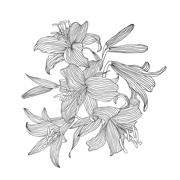 Gravyr hand dras illustration av blomma lily — Stock vektor