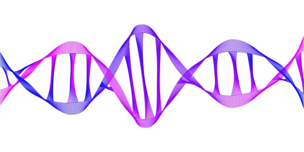 Linear DNA helix — Stock Vector
