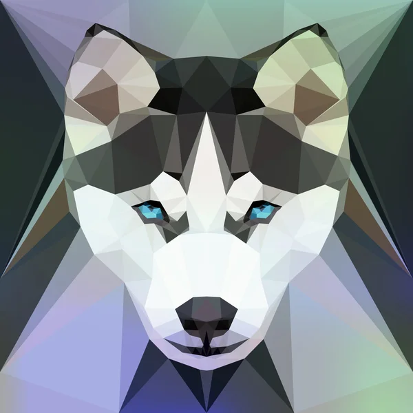 Tvář Husky pes — Stockový vektor
