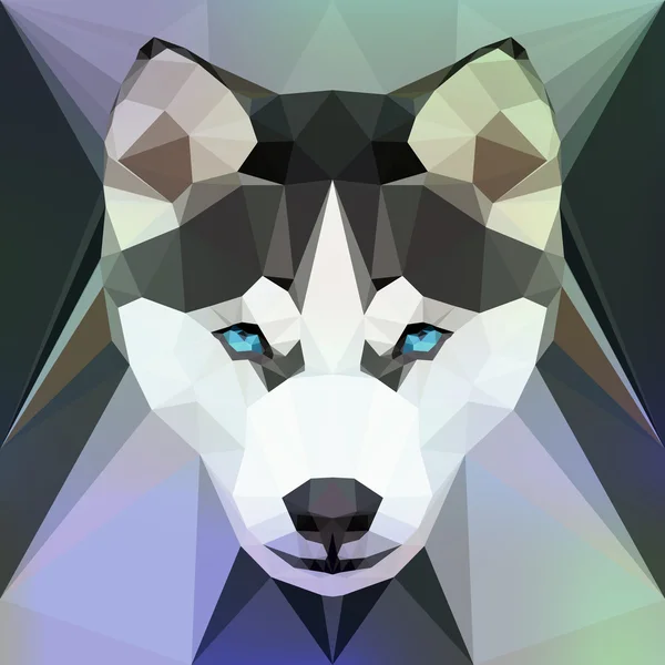 Gezicht van een Husky hond — Stockvector