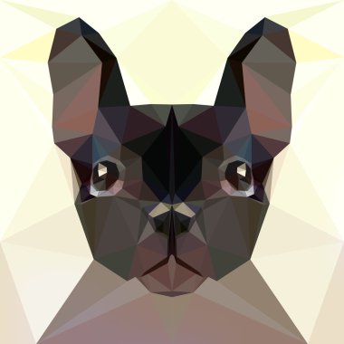 Yüzü bir Fransız buldozer