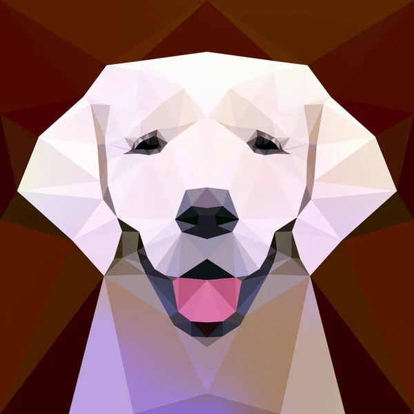 Tvář pes labrador — Stockový vektor