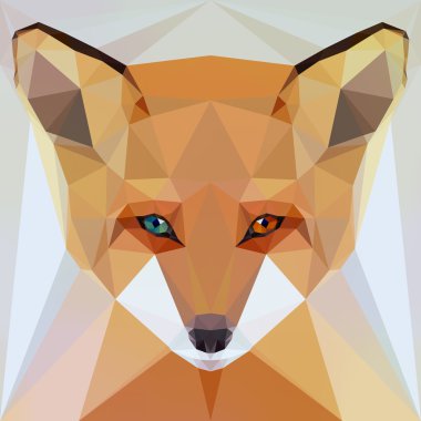 yüz göz hetrokromya ile tilki