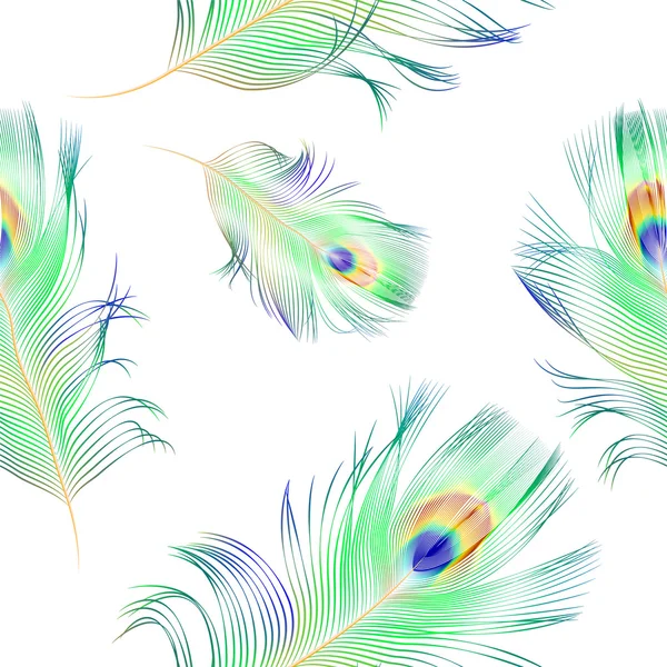 Vecteur plumes de paon motif sans couture — Image vectorielle