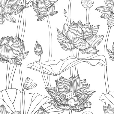 Doğrusal seamless modeli - lotus çiçeği.