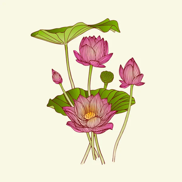 Ramo de flores de loto — Vector de stock
