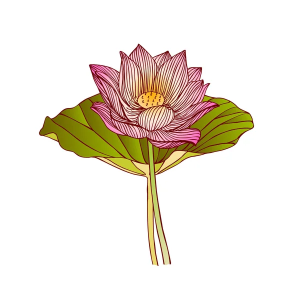 De flor de loto — Vector de stock