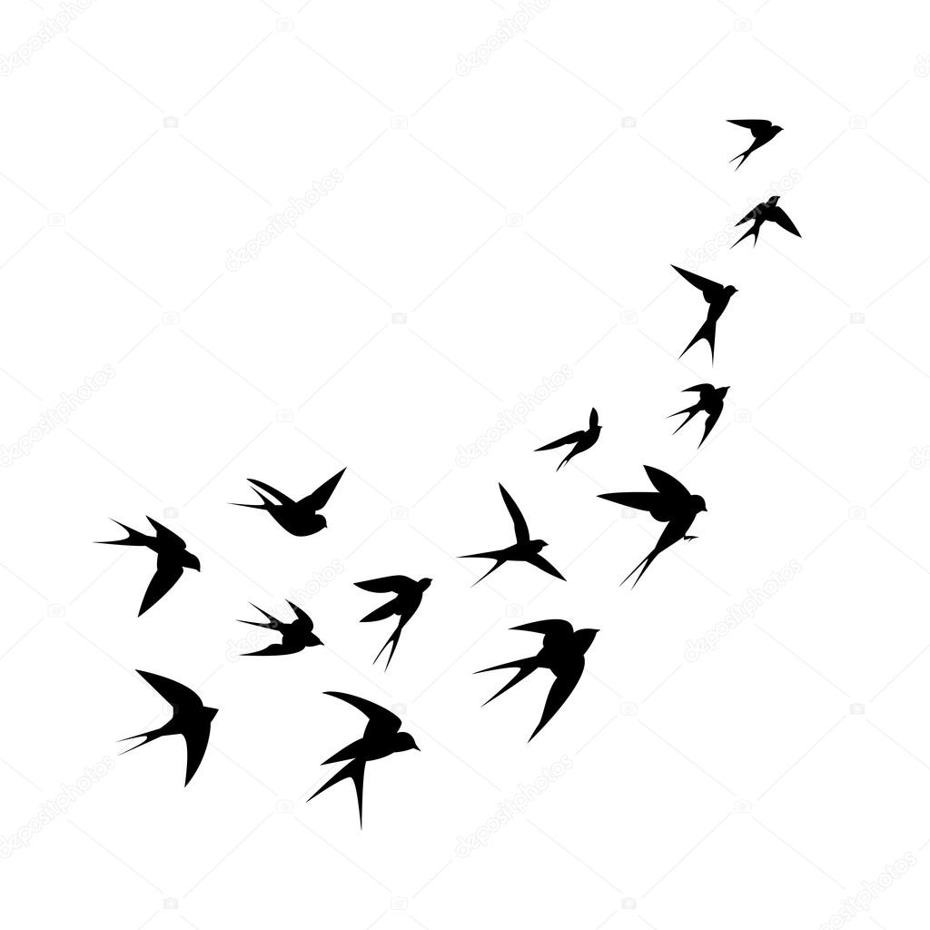 A flock of birds (swallows) go up. Black silhouette on a white background.