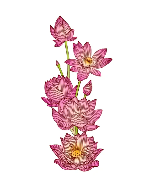 Lotus çiçek buketi — Stok Vektör