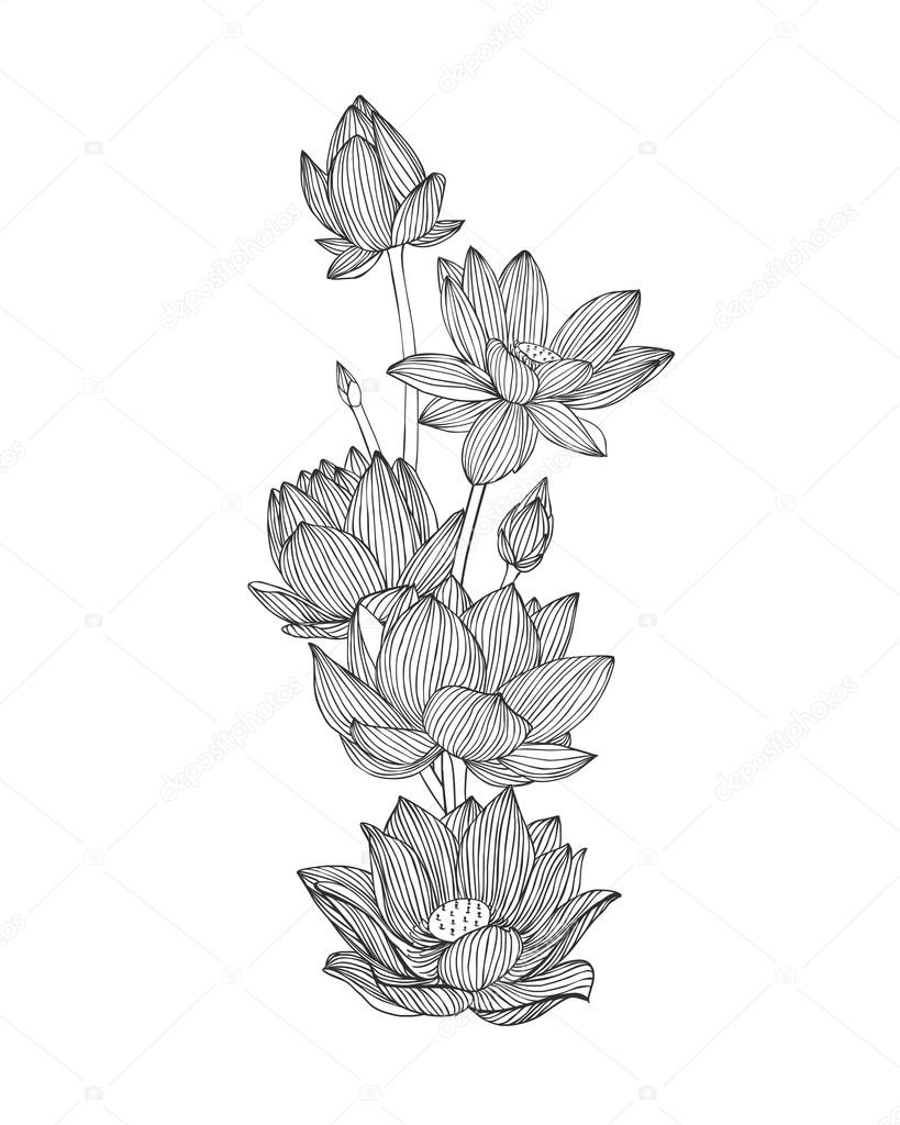 Engraving hand drawn illustration of lotus flower bouquet