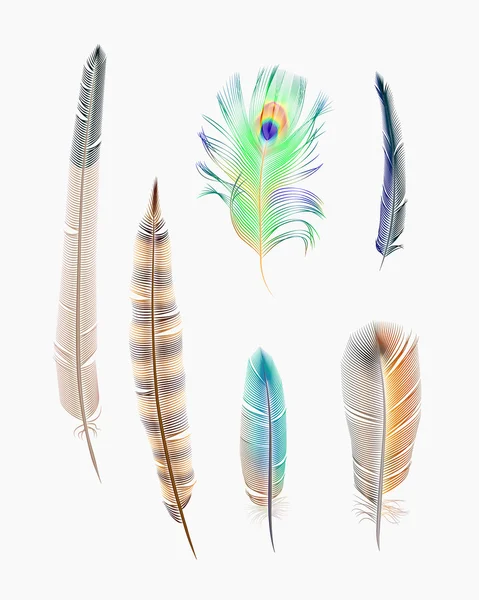 Collection de plumes — Image vectorielle