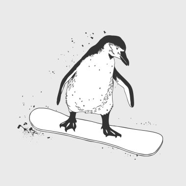 snowboard penguen