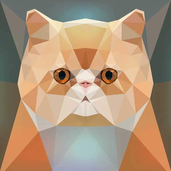 Rosto de um gato persa vermelho — Vetor de Stock