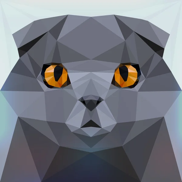 Gato. Raza Fold escocesa — Vector de stock