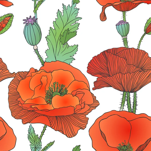 Seamless floral pattern - red poppy — Stock Vector