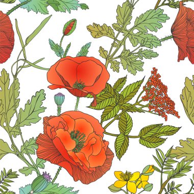 Dikişsiz desen - çeşitli rengarenk çimen