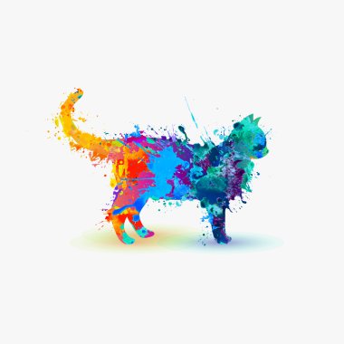 Bir kedinin silüeti