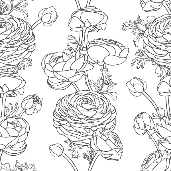 Linear floral seamless pattern - ranunculus — Stock Vector