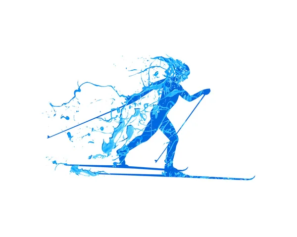 Cross-country skiing — Stock Vector