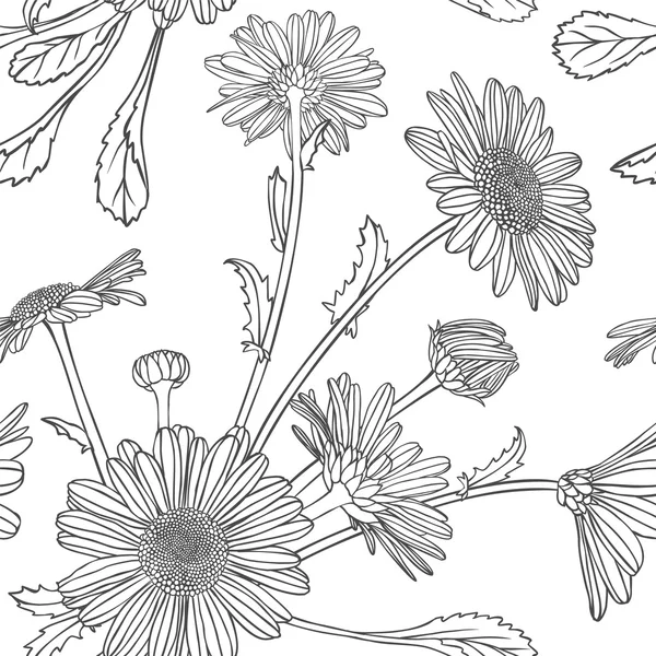 Seamless pattern - chamomile flowers — ストックベクタ