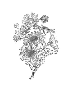 Doğrusal papatya çiçek buketi