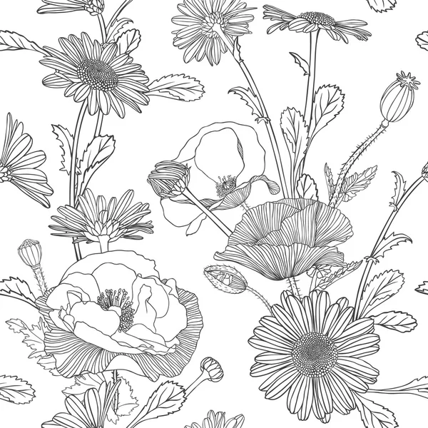 Patrón lineal sin costuras - manzanilla y flores de amapola — Vector de stock