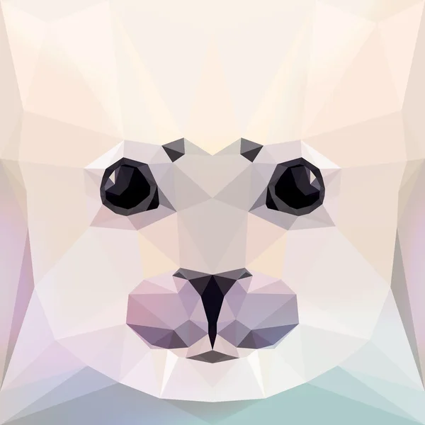 Das Gesicht eines Robbenbabys — Stockvektor